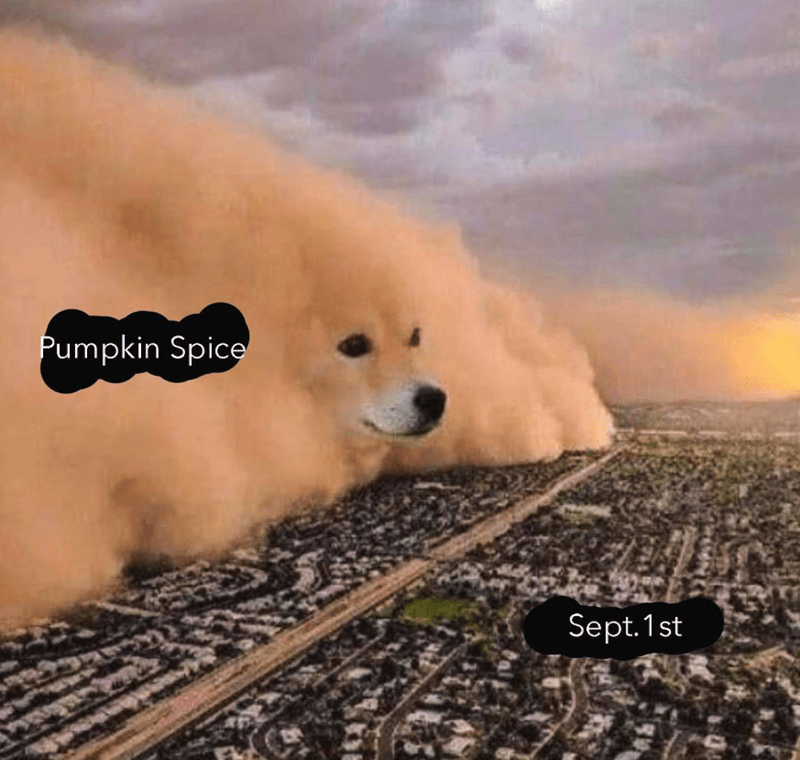 Cloud - Pumpkin Spice Sept. 1st Cloud - Pumpkin Spice Sept. 1st