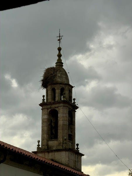 A tiered tower with a cross at the top and a bird's nest against a very grey sky.