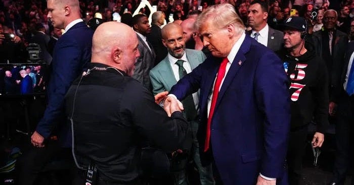 Joe Rogan Says Trump Using ICE, Fraud Stories to Distract From Epstein ...