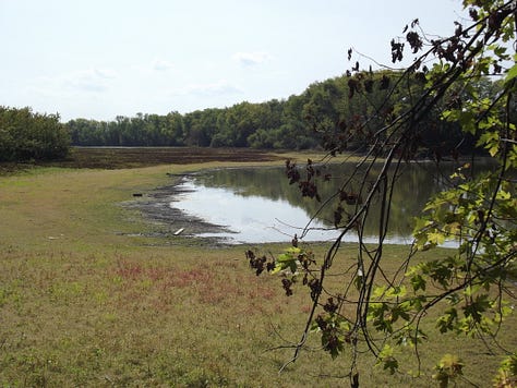 Oxbow Inc. Wetlands and Wildlife Refuge