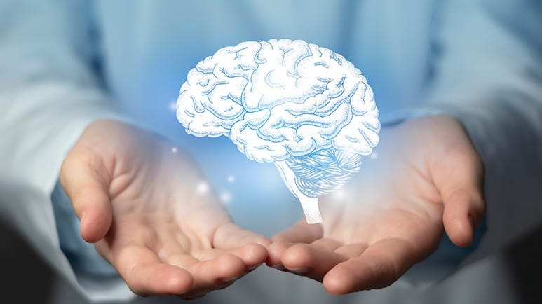 transplanted consciousness organ donor memory transfer