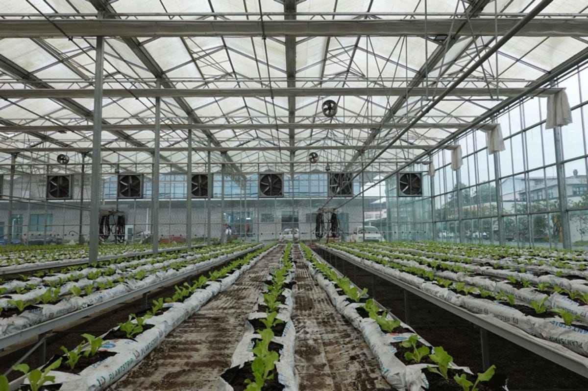 Vivianne Zhang Wei #5 Vivianne Zhang Wei #5