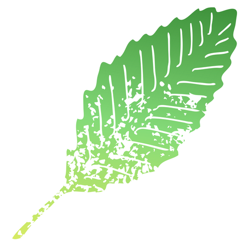 It Starts With a Leaf