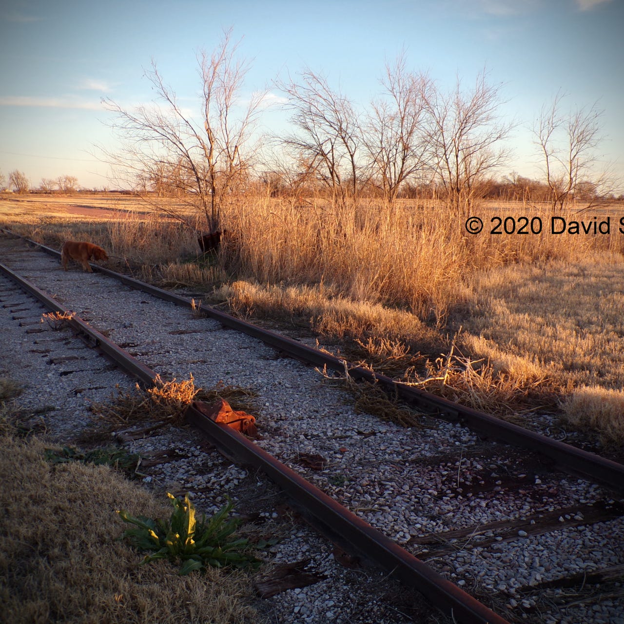 American Siberia - David Schmitt's Newsletter