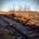 American Siberia - David Schmitt's Newsletter