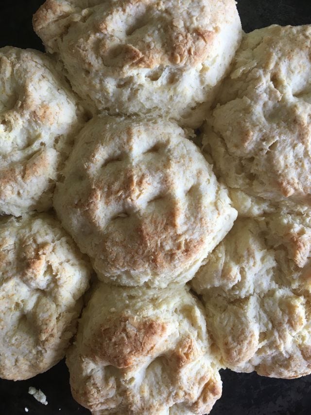 Biscuits ready for their close up Biscuits ready for their close up