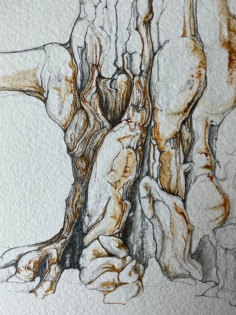 Bringing together multiple DC trees for horizontal composition.