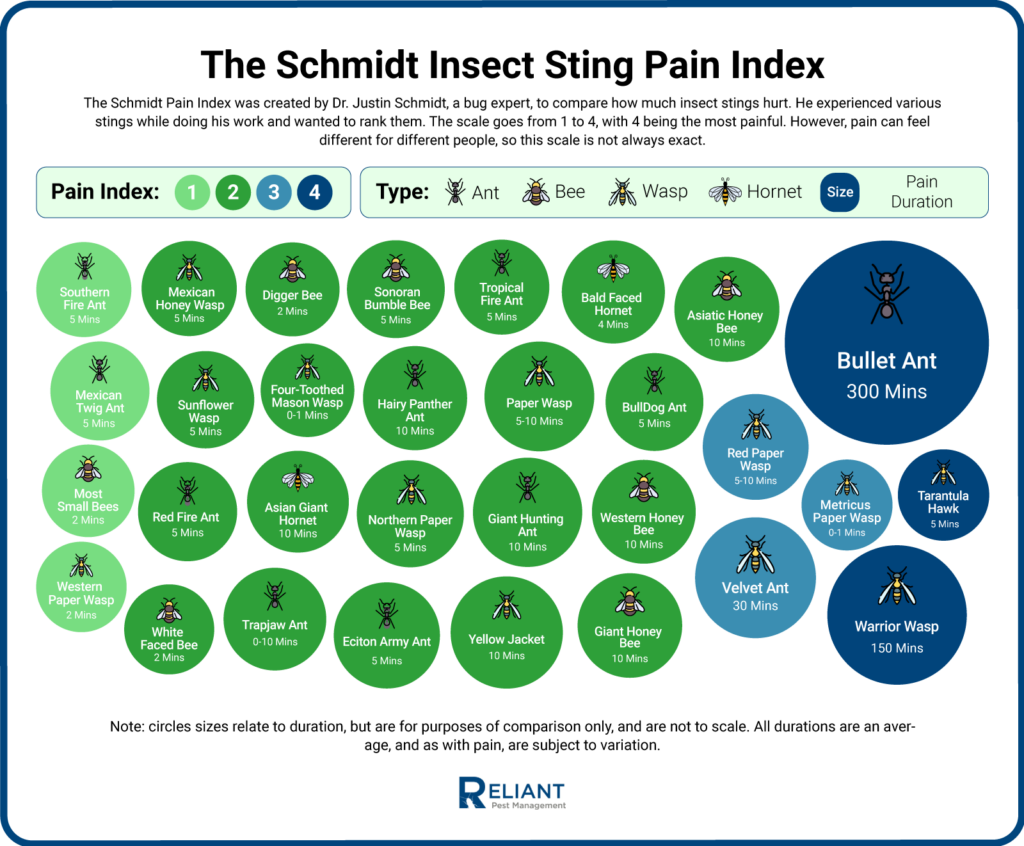 The Pain Scale: North America's Insect Sting Index Revealed ...