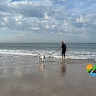 Empowering Independence, One Paw at a Time