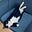 David Holmer's avatar