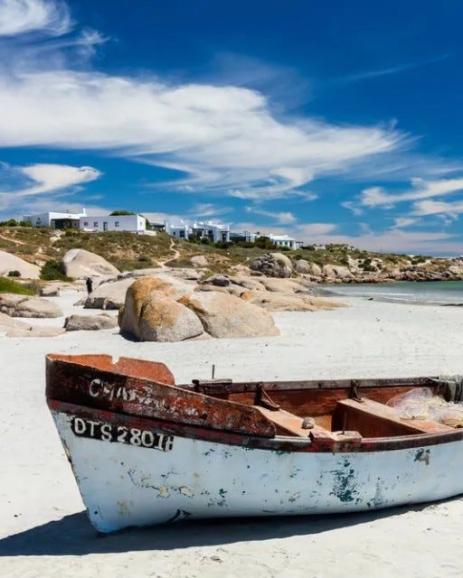 May be an image of boat and text