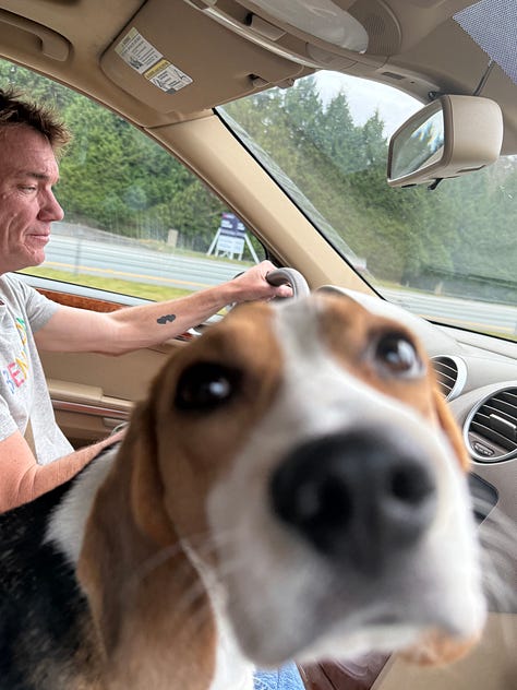 Roadtrip pictures