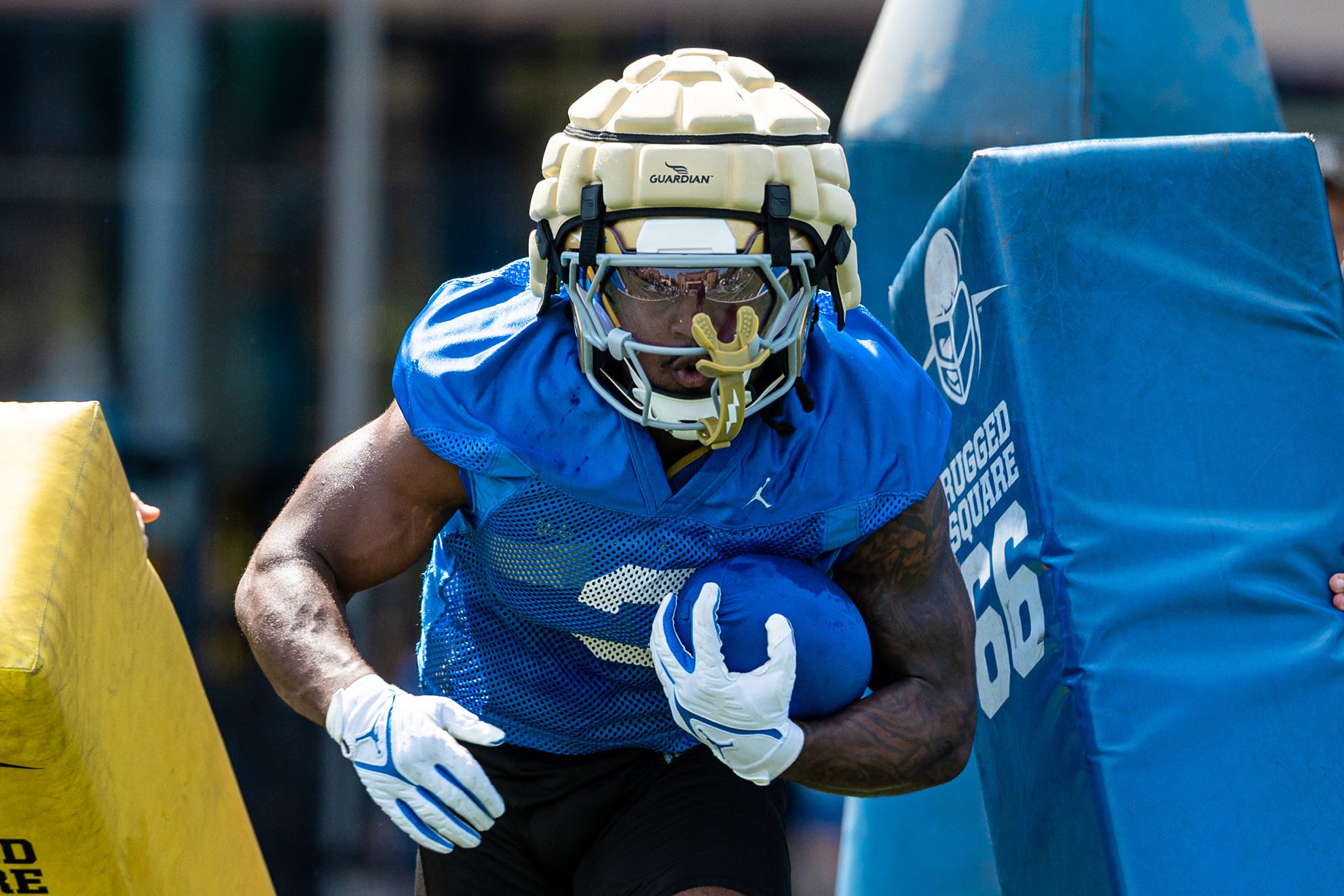 Wayne Knight Named to Hornung Award Watch List Wayne Knight Named to Hornung Award Watch List