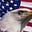 Liberty Bell's avatar
