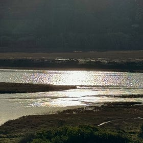 Dreaming big in a small world