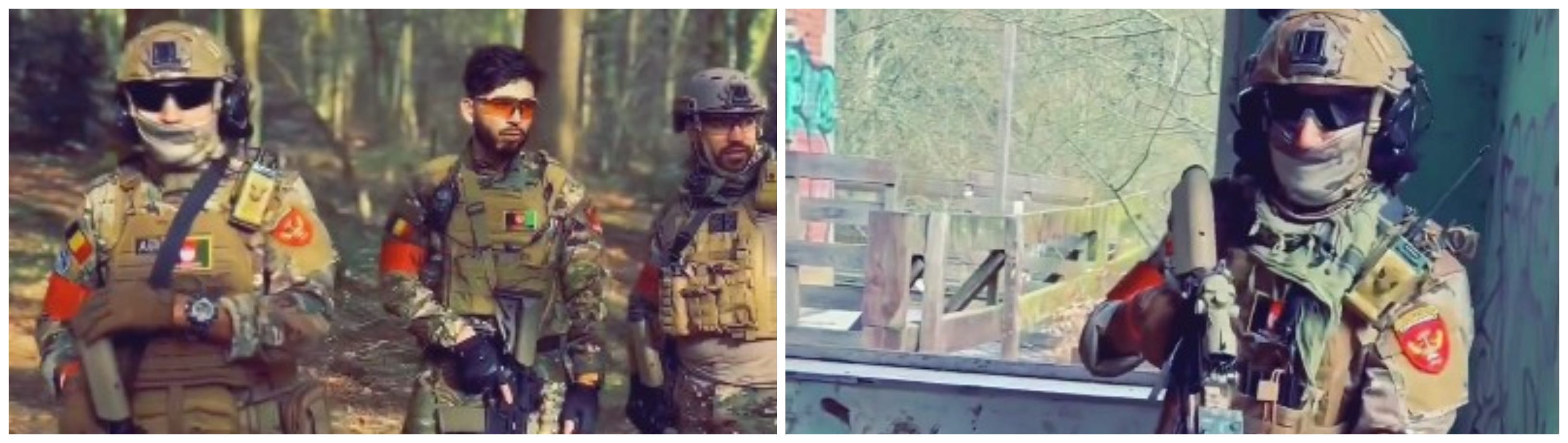 Ze eten de honden en de katten op!', image size:3264x924