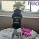 thecrazydogladync