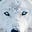 White Wolf's avatar