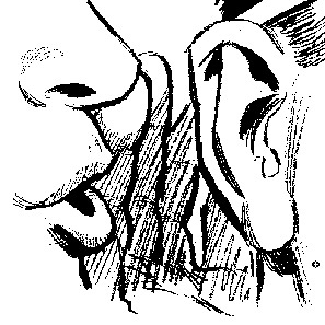 Lloyd’s Newsletter