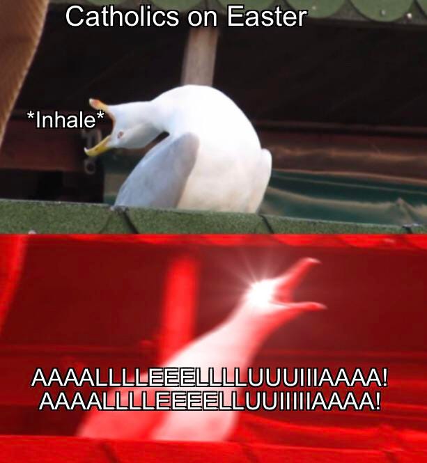 r/CatholicMemes - He is risen!