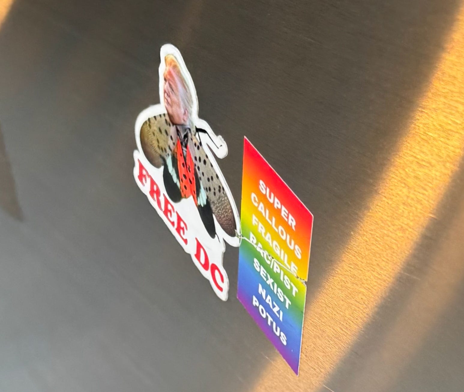 Metrofile Sticker Despatch The Dupont Metro Sticker Wars - by Kate