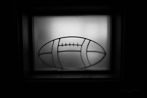 football stadium and campus mascot