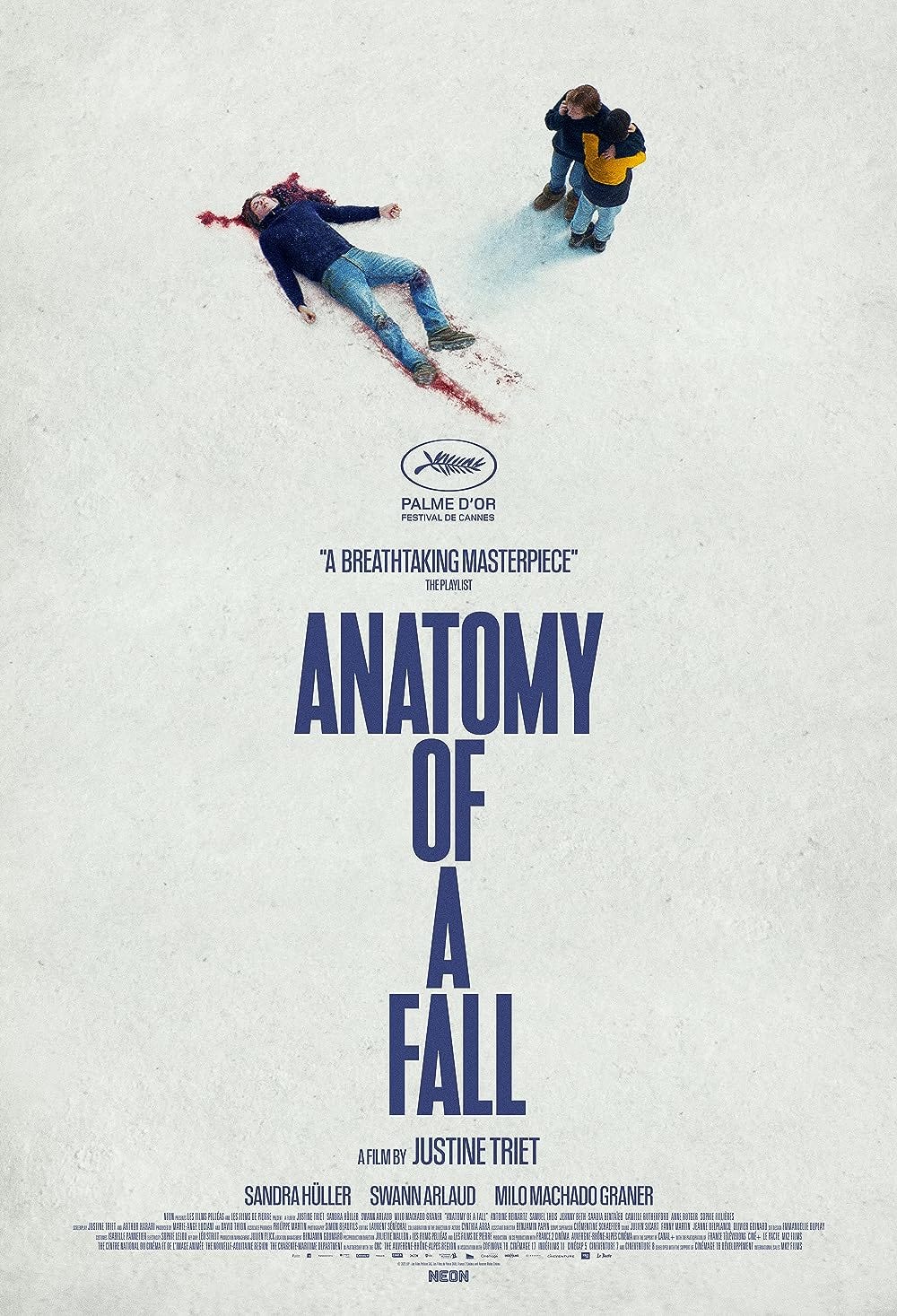 Anatomy of a Fall (2023) - IMDb Anatomy of a Fall (2023) - IMDb