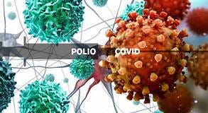 Then and Now: Polio and COVID-19College of Veterinary Medicine at MSU