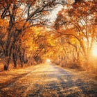 248: Daily Practices for Managing Anxiety