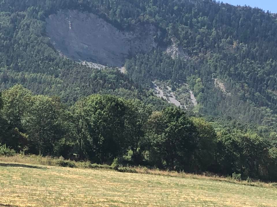 May be an image of grass, mountain and fog