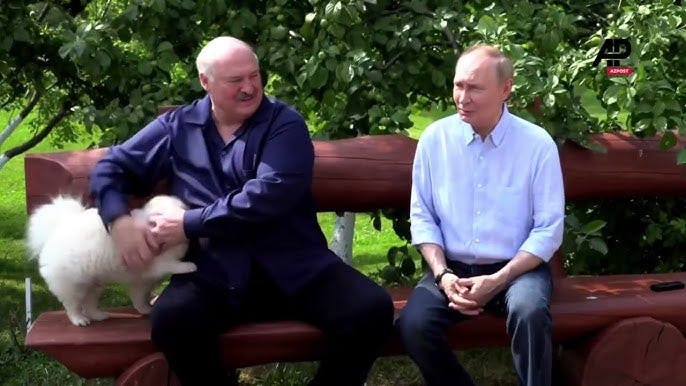 MOMENT: Lukashenko's dog draws attention during a joint media briefing with  Vladimir Putin