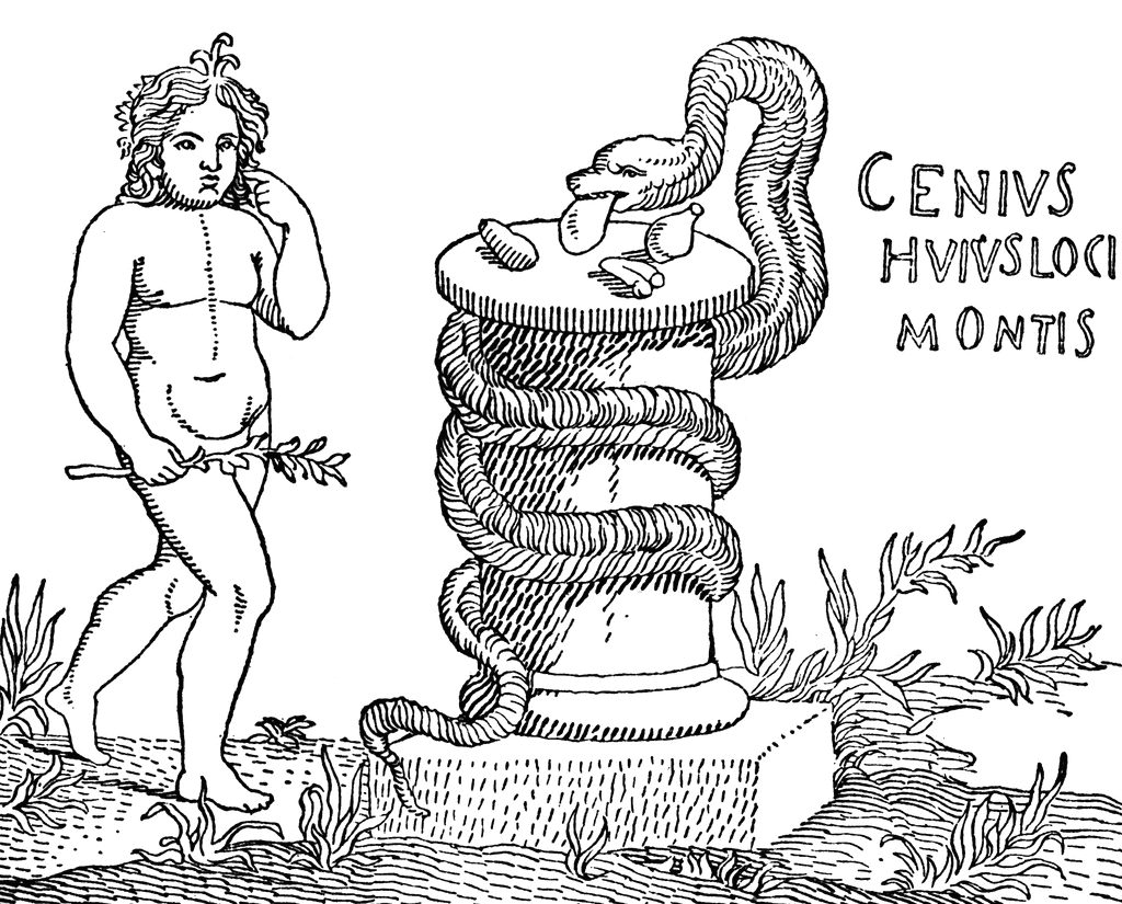 Viticulture in Rome and the rediscovery of the Genius Loci – Guado al Melo