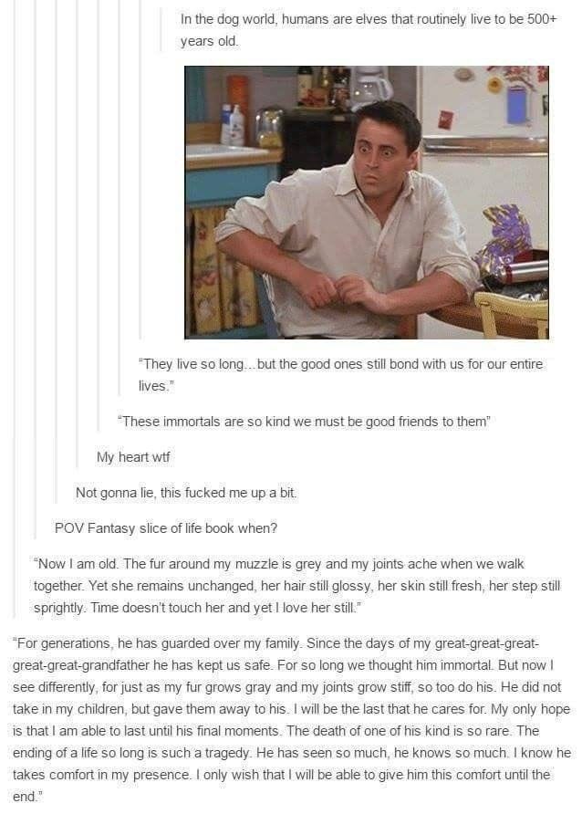 r/wholesomememes - We are like elves to dogs