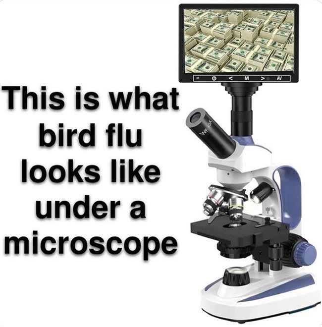 microscope microscope