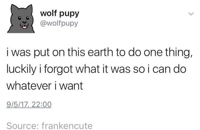 A screen capture of a Twitter post. It reads "i was put on this earth to do one thing, luckily i forgot what it was so i can do whatever i want."