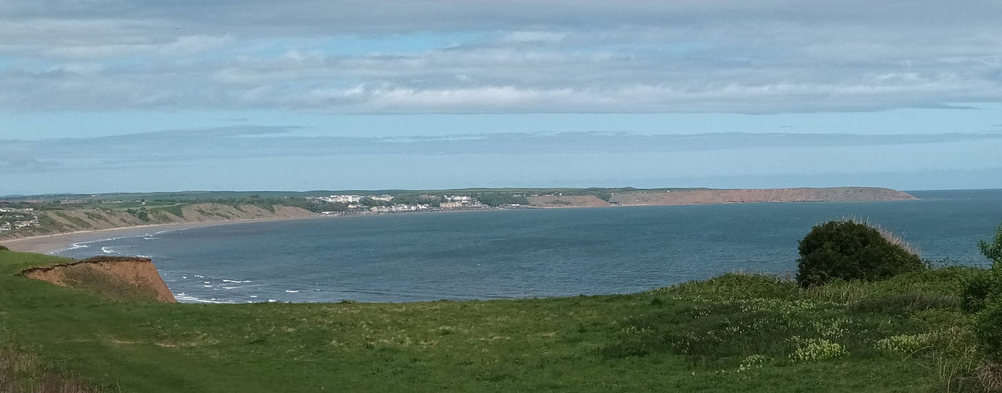 View along the coast from Speeton, green on the clifftops and the village of Filey is visible in the distance