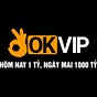 OKVIP's avatar