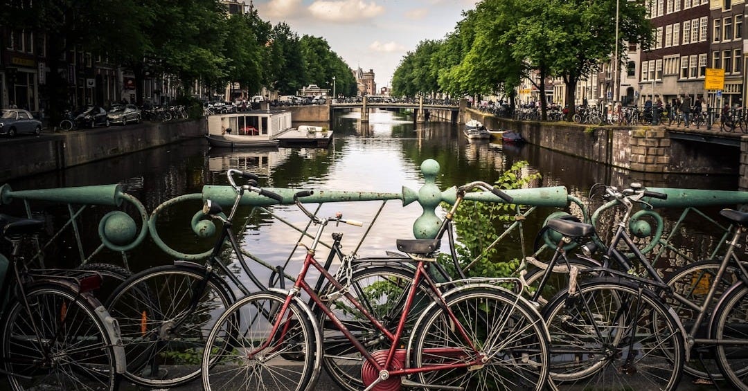 assorted-color bicycles park beside blue rails near river