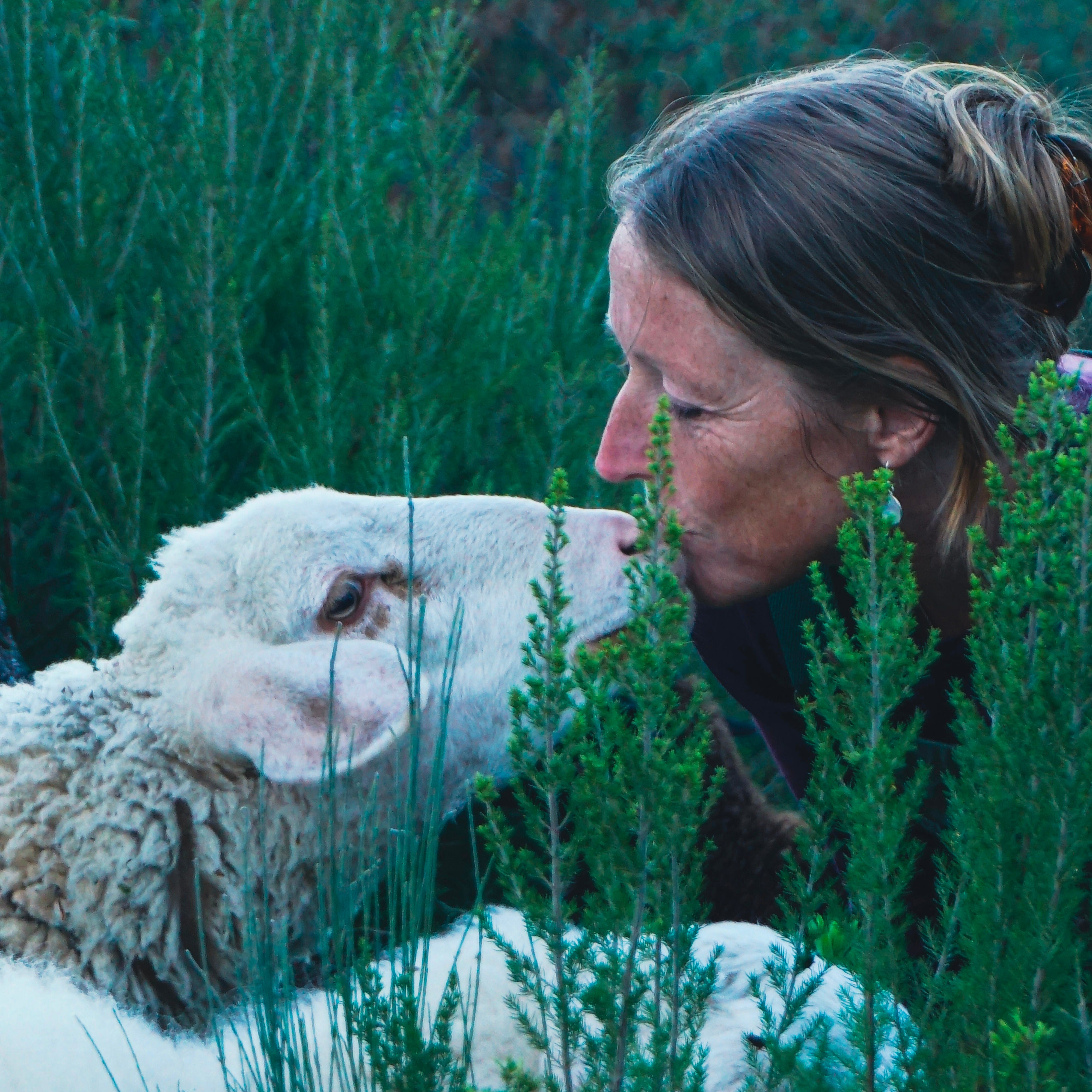 Tales from the farm by Faith
