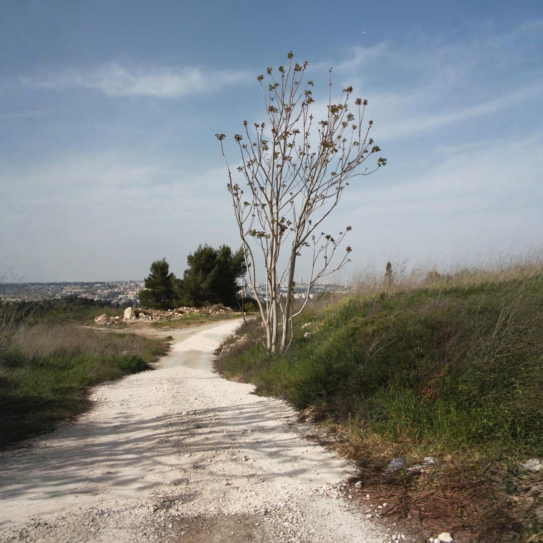 The Path of Affection