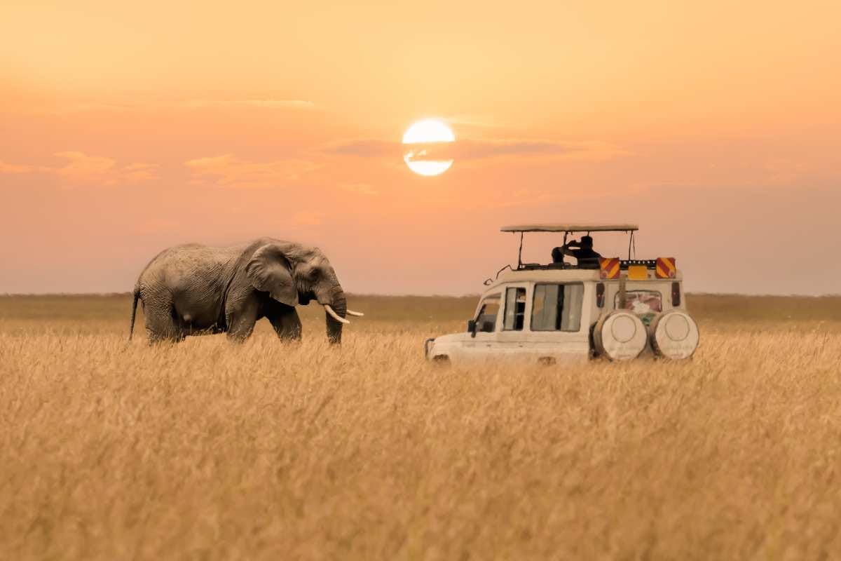 A first-timer's guide to the 22 best safaris in Africa | Vacations ...