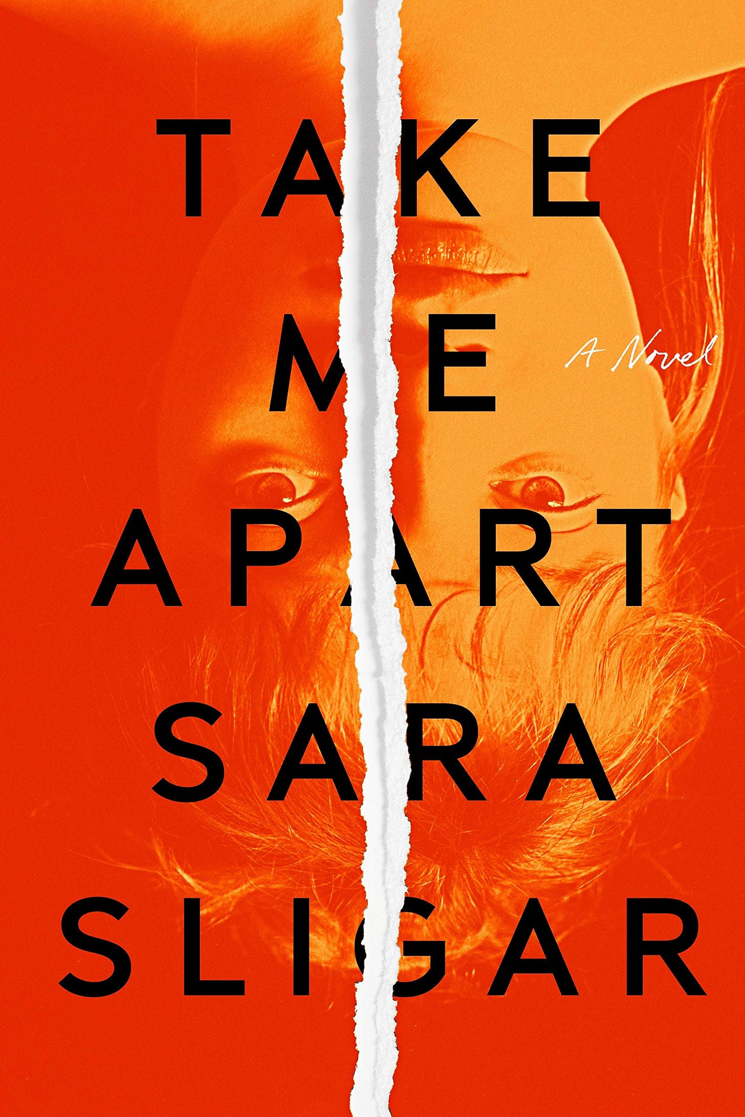 Amazon.com: Take Me Apart: A Novel: 9780374272616: Sligar, Sara: Books