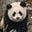 Russell Kendall Carter's avatar