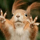...i am turning into a squirrel...