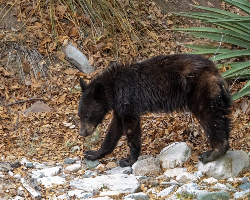 20240623-AZYBC-890-Edit.jpg 20240623-AZYBC-890-Edit.jpg