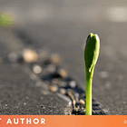 Maintaining resilience while dealing with reality - some thoughts and strategies for authors