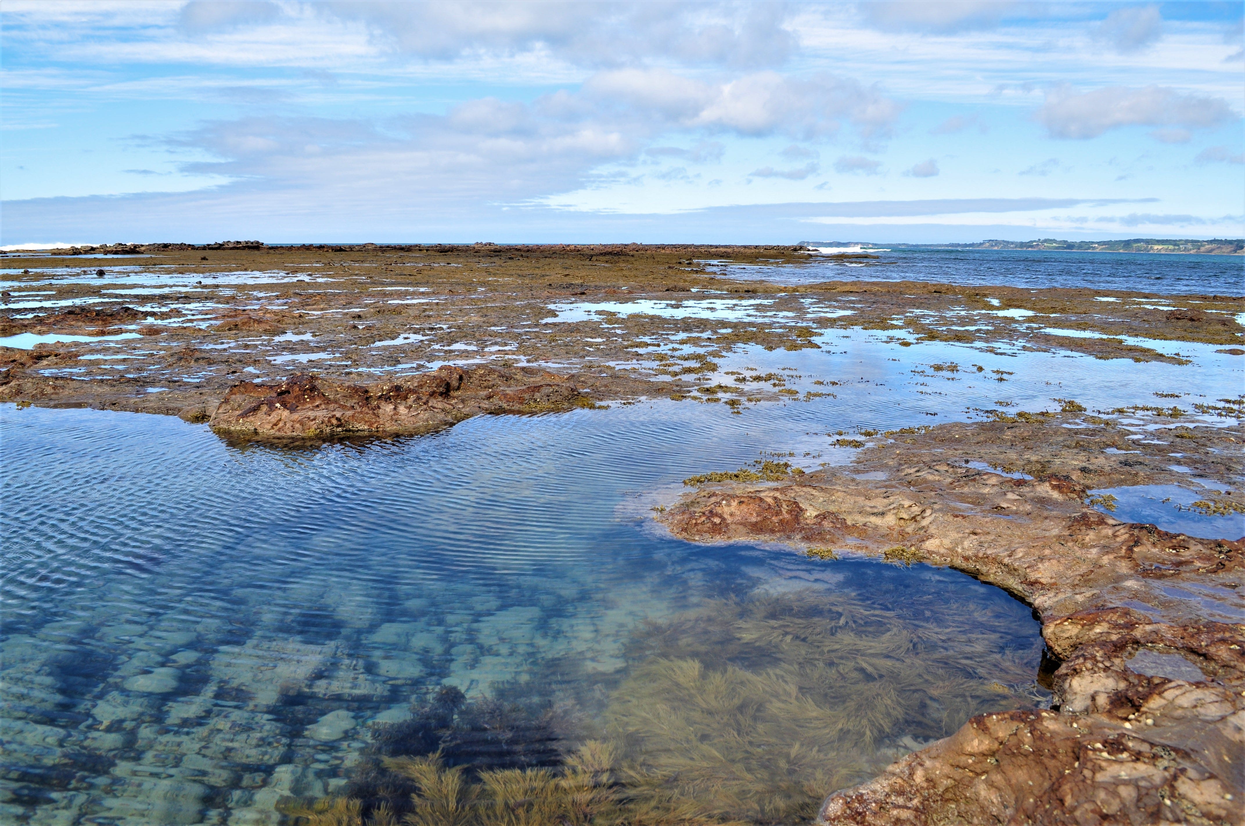 Shaped by the Spirit