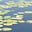 Water Lily's avatar