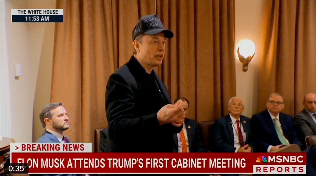 Could stupidity and cowardice save America in the end?