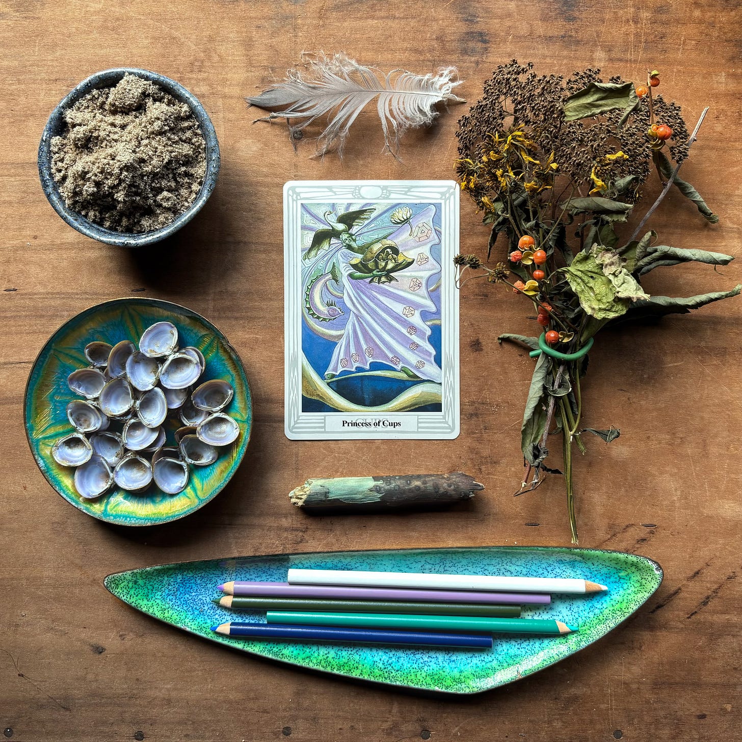 Image of the Princess of Cups from the Thoth Tarot with silt, river clam shells, fungus-stained blue wood, a heron feather, and plants from the banks of the French Broad River, along with pencils representing the Golden Dawn Color Scale for The Hanged Man.